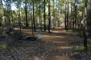 brockman-national-park